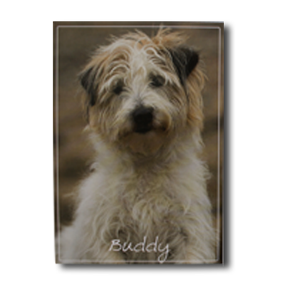 Doc Martin BuddyPostcard